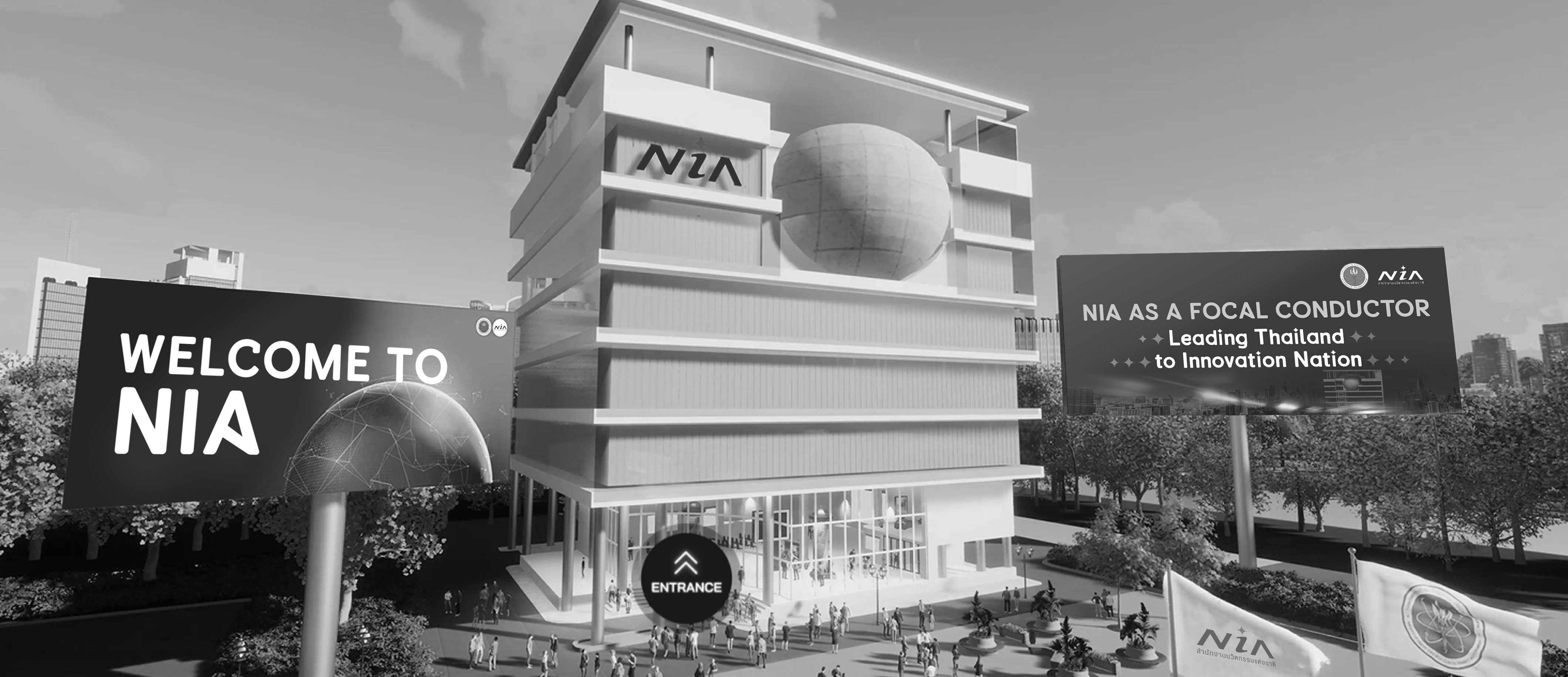 nia-coverweb-BW.jpg